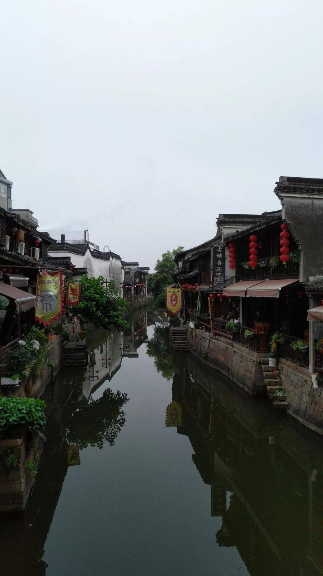 动物帮帮忙保卫家园